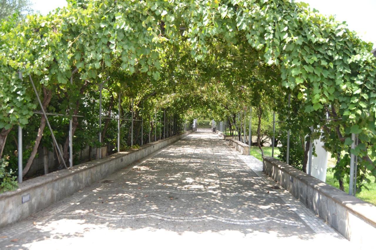 I Giardini Del Vesuvio Villa Somma Vesuviana Dış mekan fotoğraf