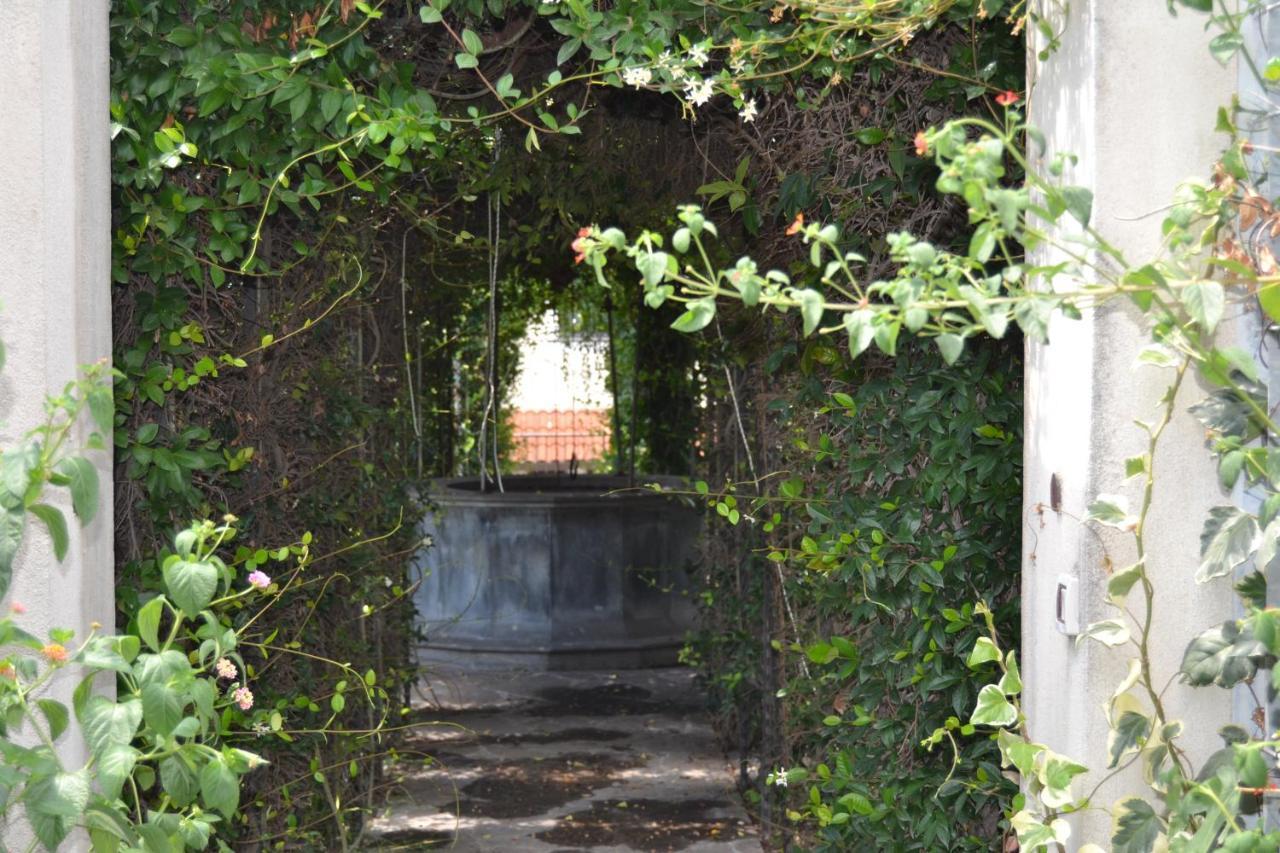 I Giardini Del Vesuvio Villa Somma Vesuviana Dış mekan fotoğraf